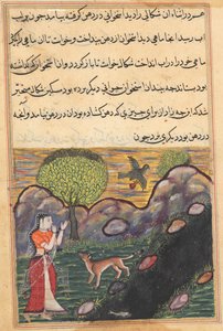 Página de Cuentos de un loro Tuti-nama: Decimosexta noche: La nuera..., c. 1560 de Unbekannt