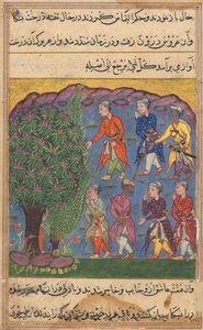 Página de Cuentos de un loro Tuti-nama: Sexta noche: Siete hombres disputando la posesión..., c. 1560 de Unbekannt