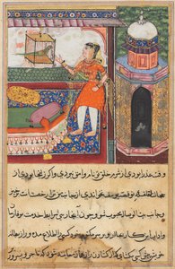 Página de Cuentos de un loro Tuti-nama: Décima noche: El loro se dirige a Khujasta..., c. 1560