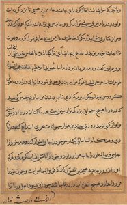 Página de Cuentos de un loro Tuti-nama: página de texto, c. 1560