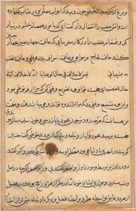 Página de Cuentos de un loro Tuti-nama: página de texto, c. 1560 de Unbekannt