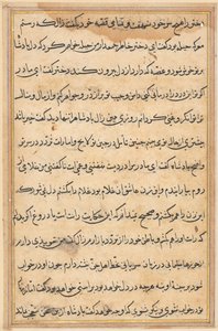 Página de Cuentos de un loro Tuti-nama: página de texto, c. 1560 de Unbekannt
