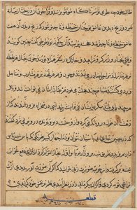 Página de Cuentos de un loro Tuti-nama: página de texto, c. 1560