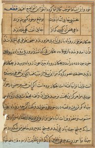Página de Cuentos de un loro Tuti-nama: página de texto, c. 1560 de Unbekannt