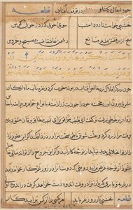 Página de Cuentos de un loro Tuti-nama: página de texto, c. 1560 de Unbekannt
