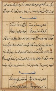 Página de Cuentos de un loro Tuti-nama: página de texto, c. 1560