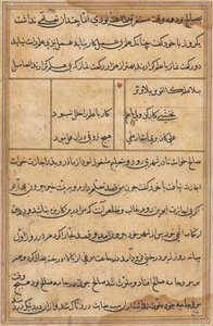 Página de Cuentos de un Loro Tuti-nama: página de texto, c. 1560 de Unbekannt