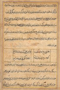 Página de Cuentos de un loro Tuti-nama: página de texto, c. 1560 de Unbekannt