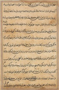 Página de Cuentos de un loro Tuti-nama: página de texto, c. 1560 de Unbekannt