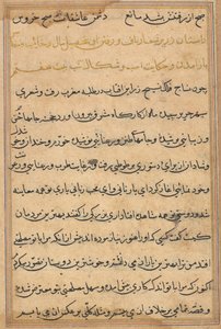 Página del libro de cuentos de un loro Tuti-nama: página de texto, c. 1560 de Unbekannt