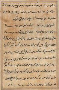 Página de Cuentos de un Loro Tuti-nama: página de texto, c. 1560 de Unbekannt