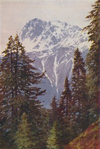 Pico en el Himalaya, 1924 de Unbekannt