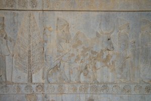 Persépolis, Irán de Unbekannt