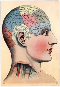 Gráfico de frenología, mostrando las áreas presumidas de actividad del cerebro, c. 1920