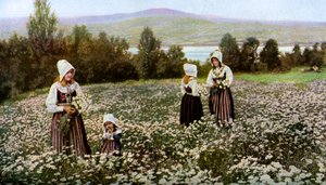 Recogiendo flores en un prado cerca de Leksand, Suecia de Unbekannt