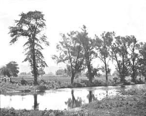 Vista pintoresca cerca de Schooleys Mount, Nueva Jersey, EE.UU., c1900 de Unbekannt