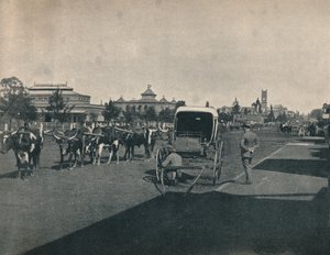 Pietermaritzburg, c1900 de Unbekannt