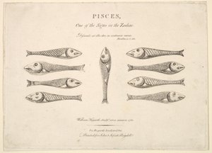 Piscis: El Cuadril de Peces de Hogarth, ca. 1730. de Unbekannt