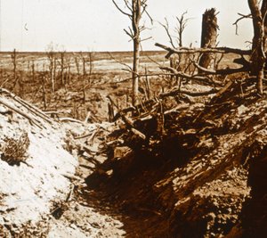 Plateau de Craonne, norte de Francia, c. 1914-c. 1918 de Unbekannt