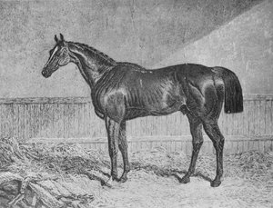 Plenipotenciario, 1831-1854, 1911 de Unbekannt