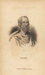 Plinio el Viejo, Gaius Plinius Secundus, autor romano, naturalista y filósofo natural, AD23-79 de Unbekannt