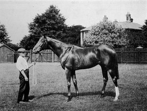 Estrella Polar, 1911 de Unbekannt