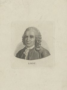 Retrato de Carl Linnaeus 1707-1778, c. 1780