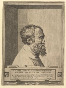 Retrato de Miguel Ángel de perfil mirando a la derecha dentro de un hueco, 1545 de Unbekannt