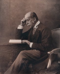 Retrato del Sr. Alfred De Rothschild, c1902 de Unbekannt