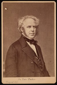 Retrato de Peter Parker 1804-1888, antes de 1888 de Unbekannt