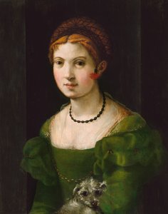 Retrato de una joven, 1530-1540 de Unbekannt