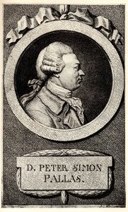 Retrato del zoólogo y botánico Peter Simon Pallas 1741-1811, principios del siglo XIX de Unbekannt