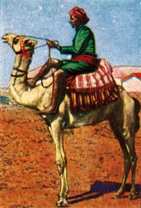 Correo Entregado por Camello, Arabia, c1928
