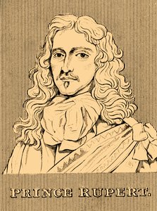 Príncipe Ruperto, 1619-1682, 1830