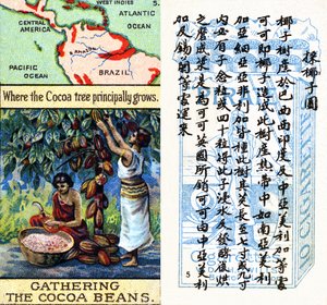 Áreas principales para la producción de cacao, de la serie de tarjetas de cigarrillos 