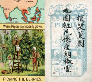 Áreas principales para la producción de pimienta, de la serie de tarjetas de cigarrillos 