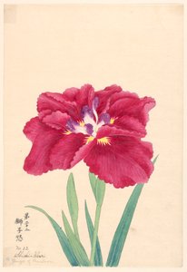 Impresión, La ira del león (Shishi-Ikari), No. 22 de Unbekannt