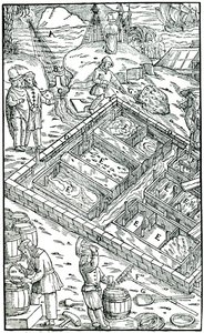 Producción de sal por evaporación de agua de mar en salinas, 1556 de Unbekannt