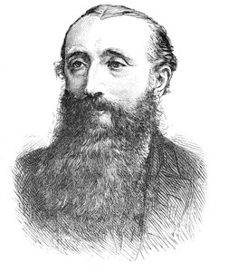 Profesor Palmer, c1882