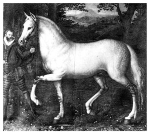 El caballo de la Reina Isabel I, 1896 de Unbekannt