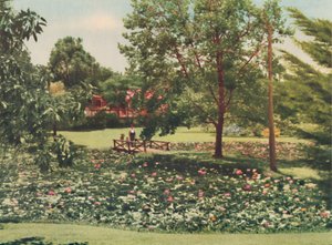 Jardines de la Reina, c1947 de Unbekannt