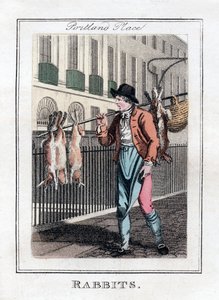 Conejos, Portland Place, Londres, 1805