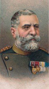 Radomir Putnik 1847-1917, Mariscal de Campo serbio, 1917