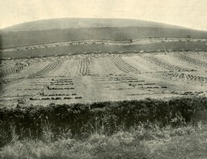 Competencia de segadora y atadora, Mount Blowhard, cerca de Ballarat, 1901 de Unbekannt