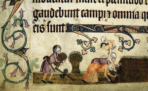 Cosechando y atando gavillas del Salterio de Luttrell, ca 1330 de Unbekannt