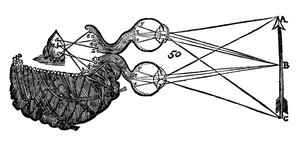 Idea de visión de René Descartes, mostrando la función del ojo, nervio óptico y cerebro, 1692 de Unbekannt