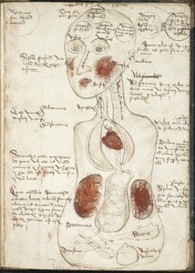 Representación de una teoría aristotélica de la conciencia De: De corpore et anima