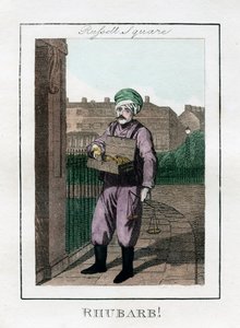 Ruibarbo, Russell Square, Londres, 1805
