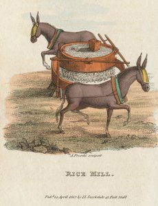 Molino de Arroz, 1813