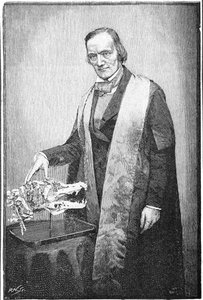 Richard Owen, naturalista británico, c1856 1891 de Unbekannt